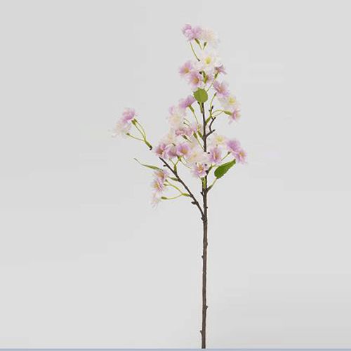 4582133053376



V26061-P



日本ビダヤコム
春華桜