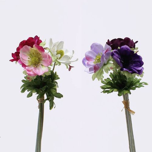 4571131313483







日本ビダヤコム
アネモネバンドル