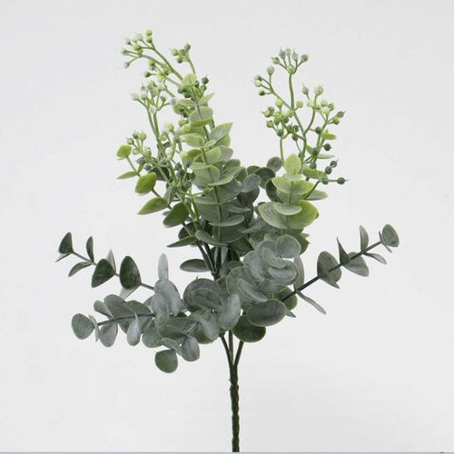 4580120829157



V25021-024G



日本ビダヤコム
ユーカリベリーブッシュ