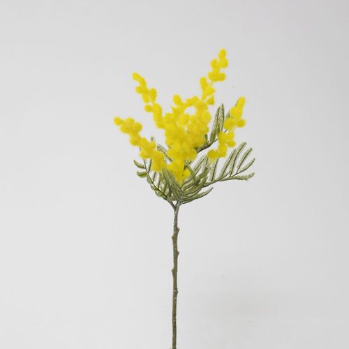 4580120829478



V25033-004Y



日本ビダヤコム
ミモザ