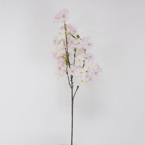 4580120828563



V25006-207LT/P



日本ビダヤコム
爛漫桜（中枝）