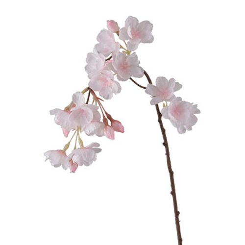 4951614408606



VE-4086



ビバ工芸　
シダレザクラミニ