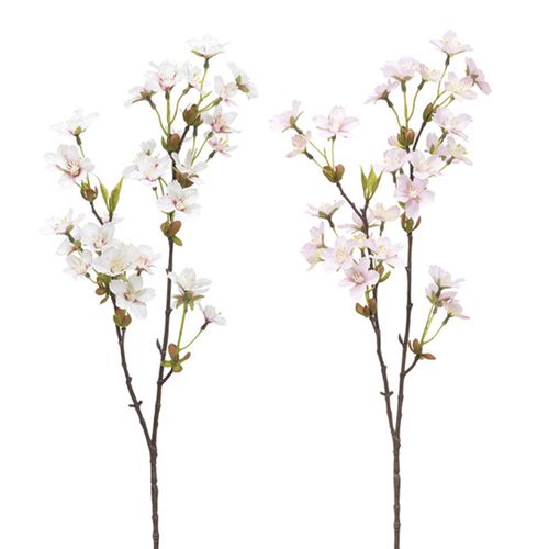 4951614422411







ビバ工芸　
ヨシノザクラ M