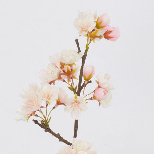 4580120828983



VR25016-002



日本ビダヤコム　
薄紅桜