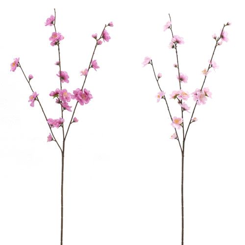 4580120822547







日本ビダヤコム　
花桃