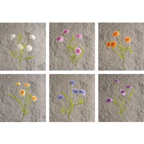 4589529110873







タイセイトレーディング
ミニダリアスプレー