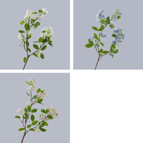 4589529111115







タイセイトレーディング
ライラック