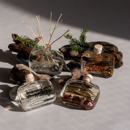 4520005300876







ユーロジャパンエレガンス
Bark＆Branchディフューザー100ml