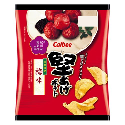 4901330922276







アイネット
カルビー 堅あげポテト梅味