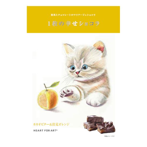 4582568704812







果実工房
一枚の幸せショコラ カカオビター＆清美オレンジ