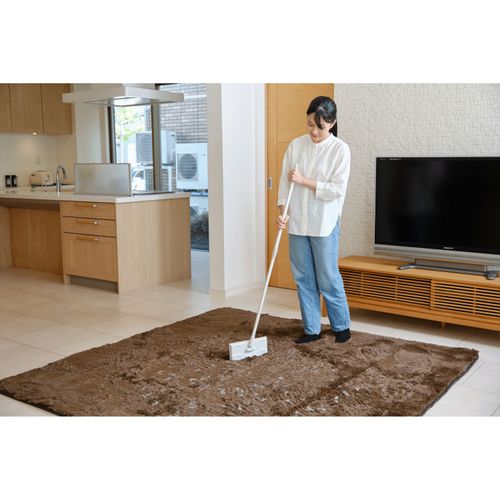 4903180251964







山崎産業
カーペットが掃けるフローリングワイパー 伸縮柄