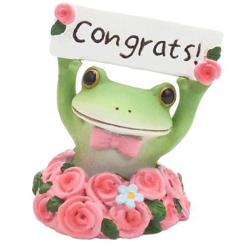 4904659106716



621616



ティーライフ
コポー お祝いメッセージのカエル