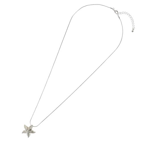 リリマム
スターフィッシュネックレス