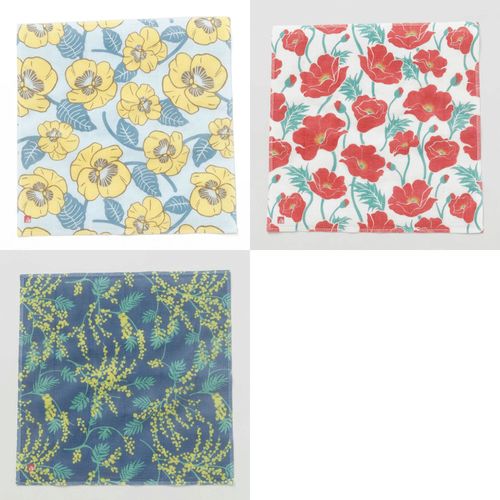 0



アミナコレクション
和モダン花ふきん