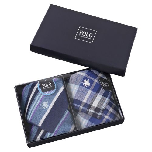 T5105-GT5571



ニシオ
POLO2枚箱入りギフト タオル×表ガーゼ裏パイル