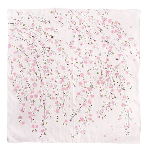 山本仁商店
京彩 SAKURA 桜守り