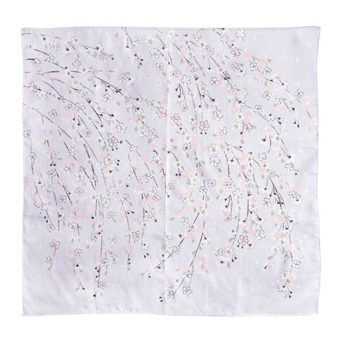 山本仁商店
京彩 SAKURA 桜守り