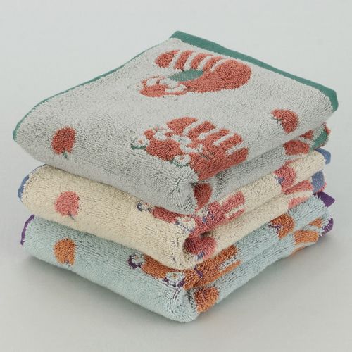 4975942455118



0



日繊商工
ナチューラファブリカ レッサー フェイスタオル