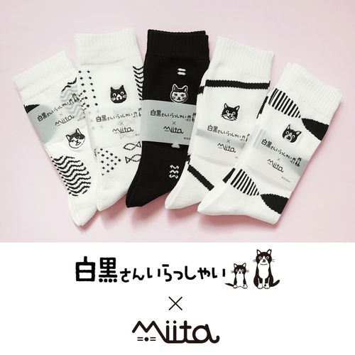 4580600221303







ラムコーポレーション
Miita 白黒ソックス