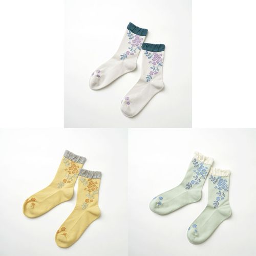 4573643430375







ＦＭＦＳ
fromFクルーソックス （ruusu／モッコウバラ）