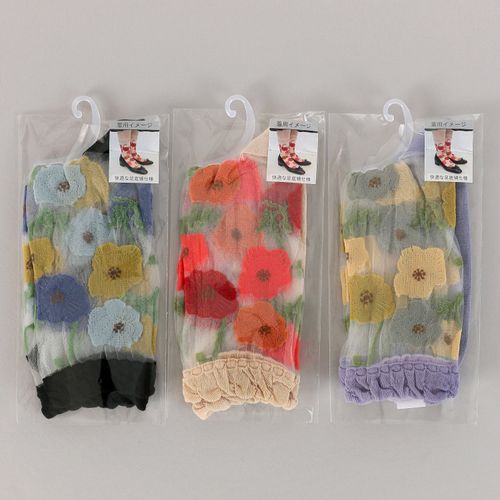 4905114956761







ウィックス
プティパ クルー丈 シースルーソックス ポピ－ 足底綿