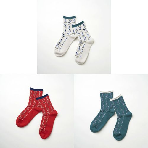 4573643430450







ＦＭＦＳ
fromFクルーソックス （marja／ベリー）