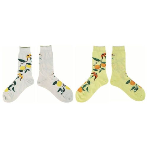 4580830500957







デビイ
andeotte ハイゲージクルーソックス LEMON