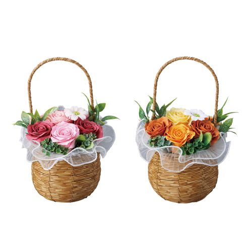 4978929359034



0



松野工業
ハピネスシャボンPP手付バスケット