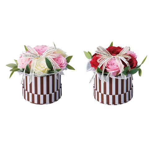 4978929359287



0



松野工業
7輪シャボン ストライプボックス