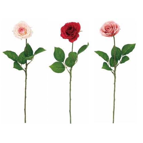 4951614424200



0



ビバ工芸
メリーローズスプレー