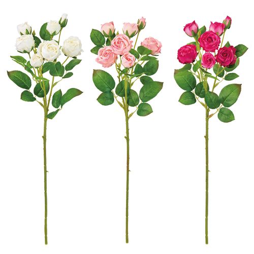 4967116983534



0



東京堂
シュシュローズ