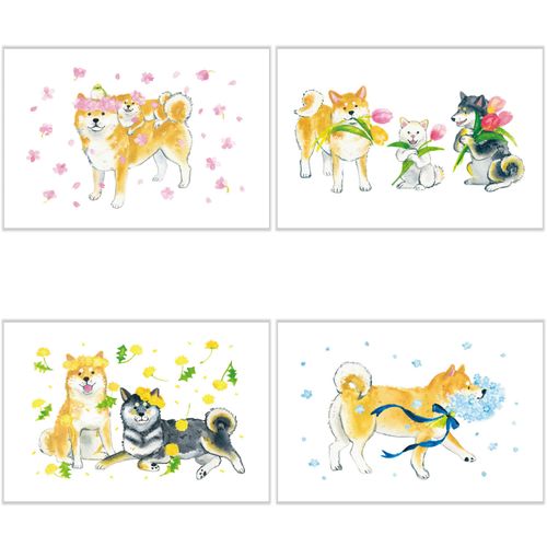 4990012002757



0



アクティブコーポレーション
しばいぬと春の花 ポストカード