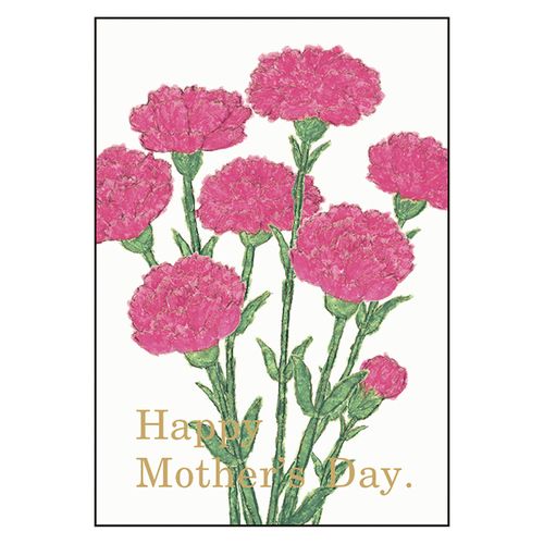 4515968335980



YZ-377



グリーティングライフ
母の日 アニバーサリーフラワーカード カーネーション