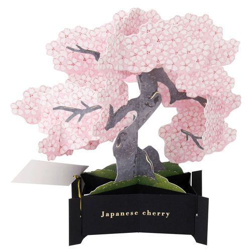 4515968123419



KE-71



グリーティングライフ
BONSAI ポップアップカード 桜