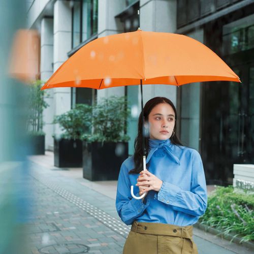 4525151077290



0



ビコーズ
プレーンカラージャンプ長傘