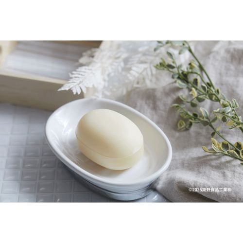 4573490110086



0



築野食品工業
イナホ ボディーソープ100g