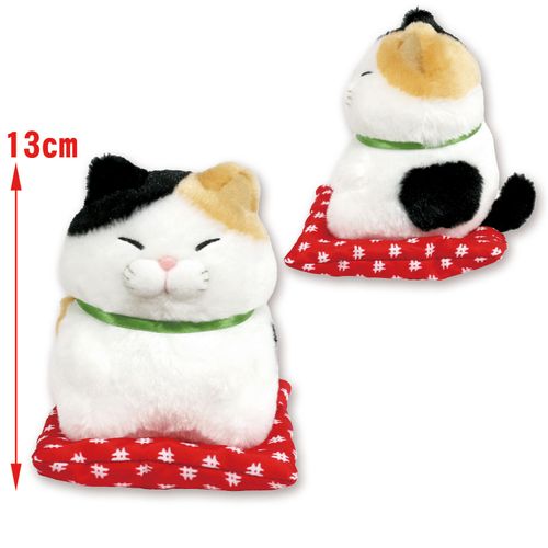 256292



アミューズ
ひげまんじゅう 正座弐 みーさま