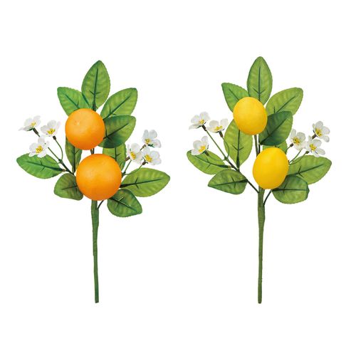 4967116970961



0



東京堂
オレンジの小枝／レモンの小枝