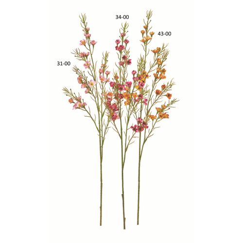 4511255586820



0



アスカ商会
ワックスフラワー