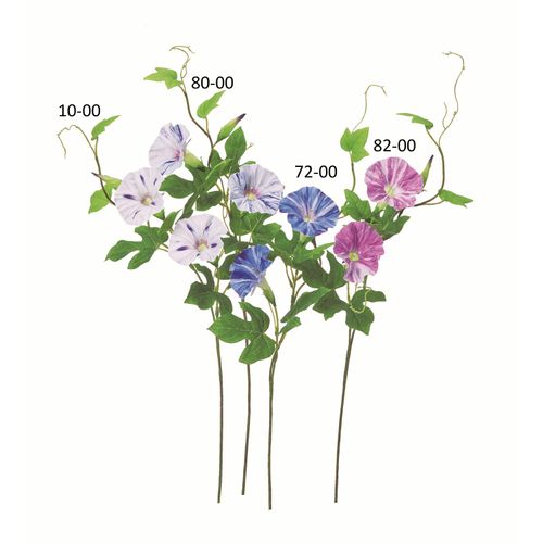 4511255586141



0



アスカ商会
アサガオ