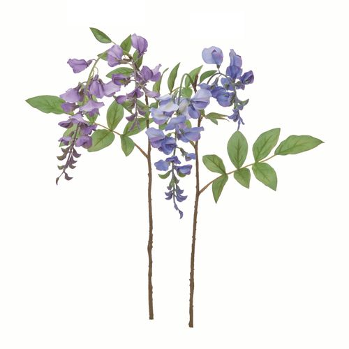 4511255588633



0



アスカ商会
ウィステリア