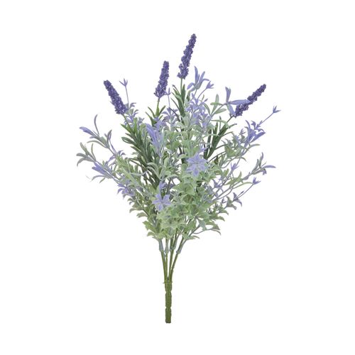 4511255589807



A-35483



アスカ商会
ラベンダーブッシュ