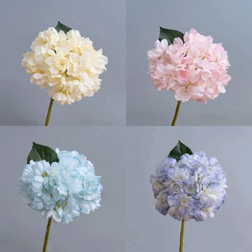 4589529111436



0



タイセイトレーディング
ハイドレンジャ