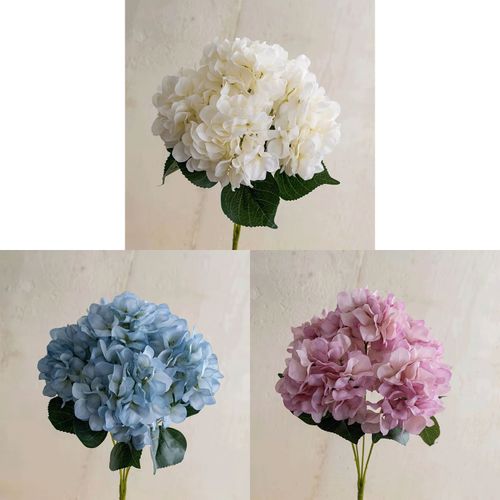 4589529111641



0



タイセイトレーディング
ハイドレンジャブッシュ×5