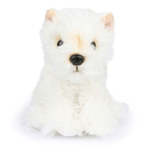 4520535216579



BTC-001ST



マークスインターナショナル
B．T．Chaps ぬいぐるみ スコティッシュテリア