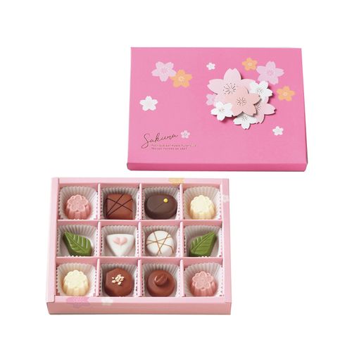 4949126003303







イシカワ
京都ふらんすや さくらの唄チョコL