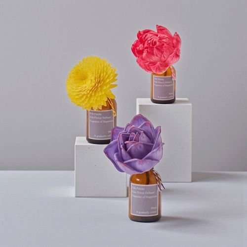 4589993287057



0



三和トレーディング
Sola Palette ソラフラワーディフューザー