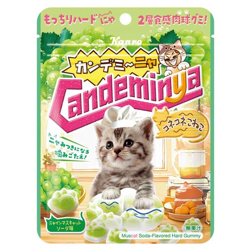 4901351026724



0



アイネット
カンロ カンデミーニャグミ コネコネこねこ