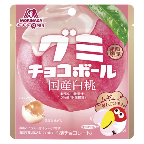 4902888274763



0



アイネット
グミチョコボール 国産白桃