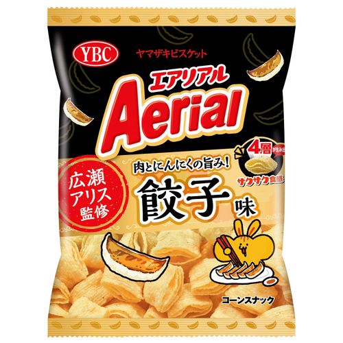 4903015560360



0



高山
エアリアル 餃子味